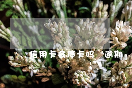 信用卡会停卡吗 逾期 信用卡会停卡吗 逾期